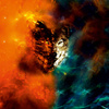 WOLF / galaxy -  PANEL (60cm x 50cm) looped knit fabric with elastane ITY