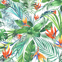 PARADISE JUNGLE / white - single jersey with elastane