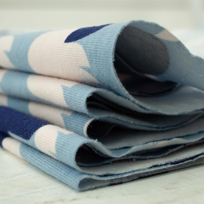 27CM ROOSTERS / FAIR WORLD / baby blue - single jersey TE210