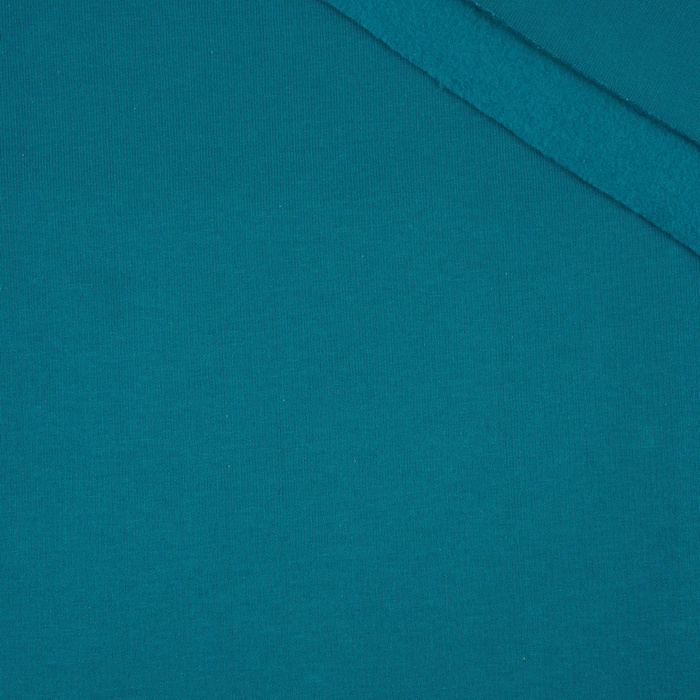 D-47 EMERALD - thick brushed sweatshirt D300