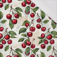 TUTTI FRUTTI WZ. 26 - single jersey