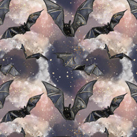 BATS (ENCHANTED NIGHT) - Panama 220g