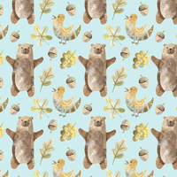 BEARS AND BIRDS (FOREST ANIMALS)