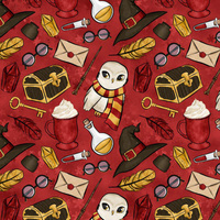 MAGIC MIX PAT. 2 (MAGIC SCHOOL) / red - single jersey with elastane