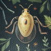 Botanical wz.1 - thick pressed leatherette