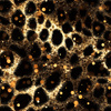 Black & Gold Glamour wz.6 - brushed knitwear with elastane ITY