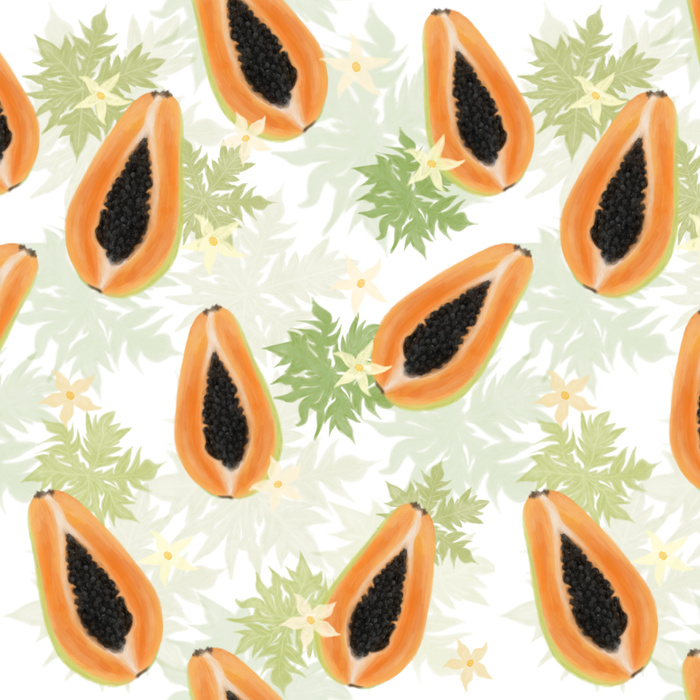 PAPAYA ORANGE & WHITE - Panama 220g