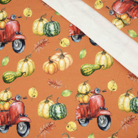 KÜRBISSE AUF DEM SCOOTER (Blätter) / orange (KÜRBISGARTEN) - French Terry mit Elasthan