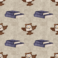 SOWY / książki (MAGICZNA SZKOŁA) / ACID WASH BEŻOWY