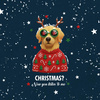 CHRISTMAS DOG PAT. 5 -  PANEL (60cm x 50cm) light brushed knitwear