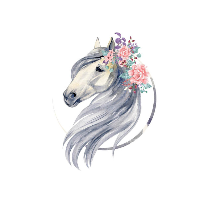 PFERD m. 2 - Paneel (60cm x 50cm)