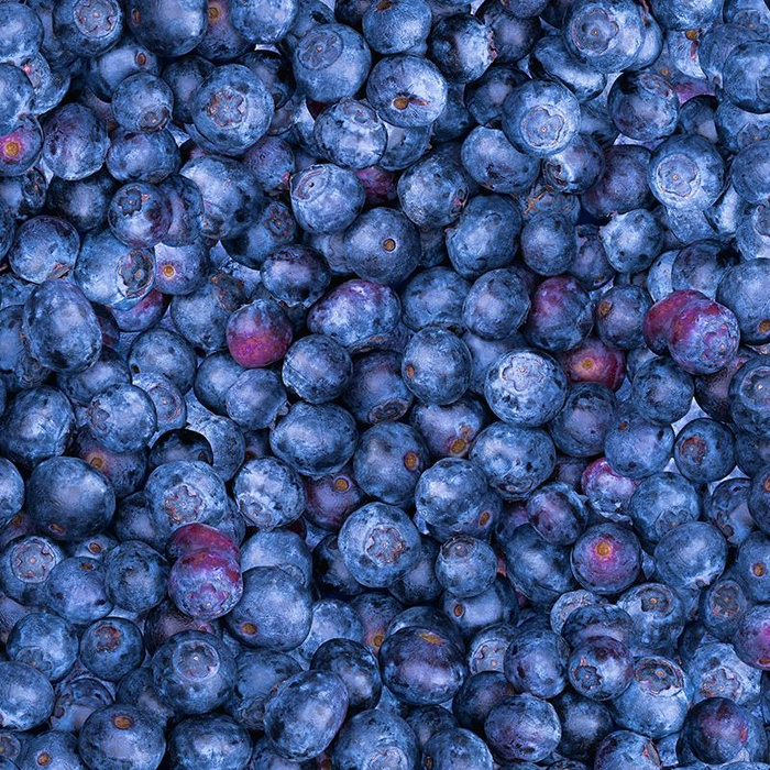 BLUEBERRIES - looped knit fabric with elastane