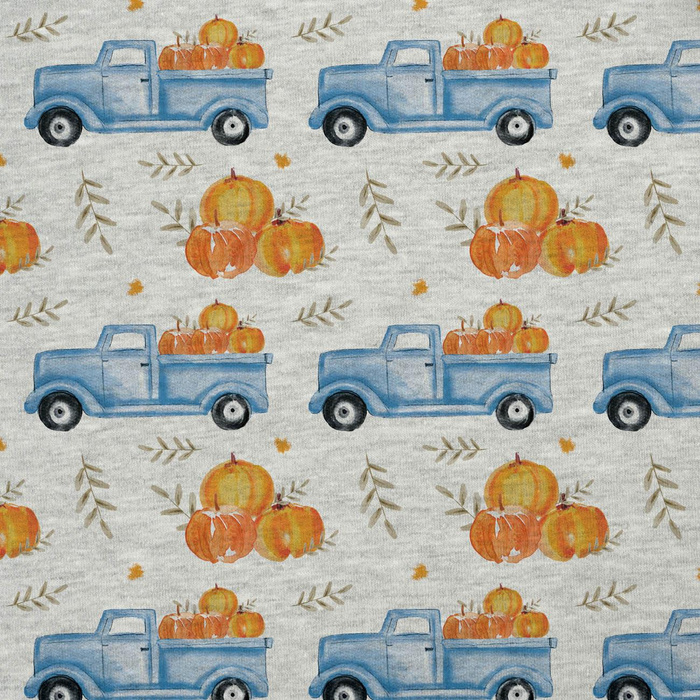 KÜRBISSE AUF DEM PICK-UP / BLÄTTER(KÜRBISGARTEN) / melange hellgrau