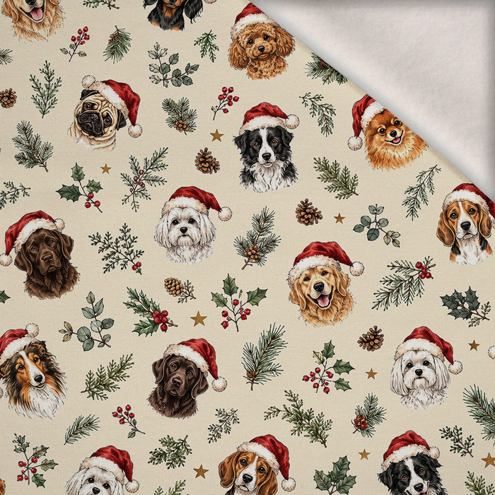 CHRISTMAS PETS WZ. 2 - brushed knitwear with elastane ITY