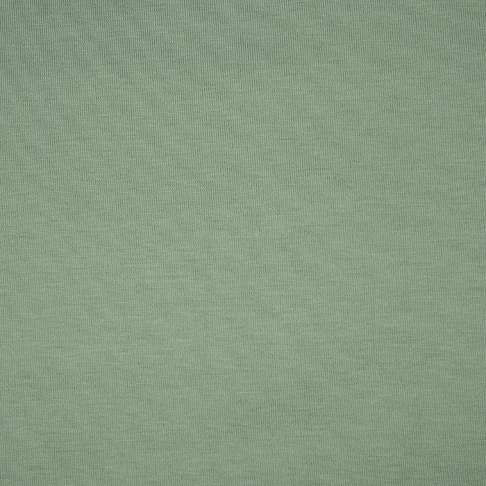 Single Jersey mit Elasthan TE210 - MODERN MINT (D-45)