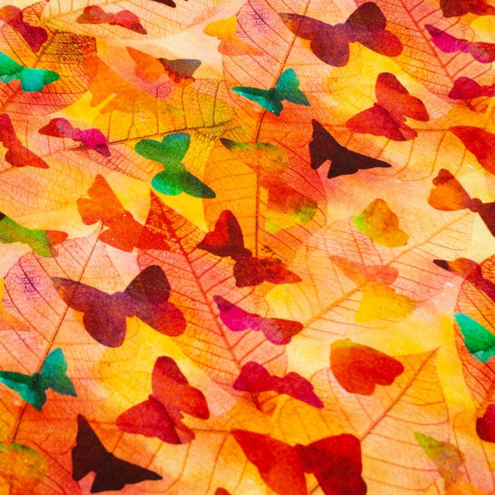 BAREVNÍ MOTÝLI - teplákovina SP250