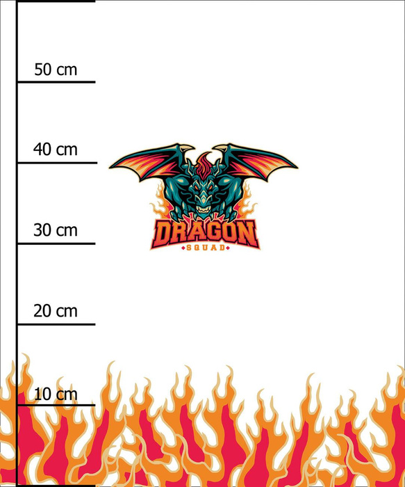 DRAGON VZ. 1 / bílá - panel (60cm x 50cm)
