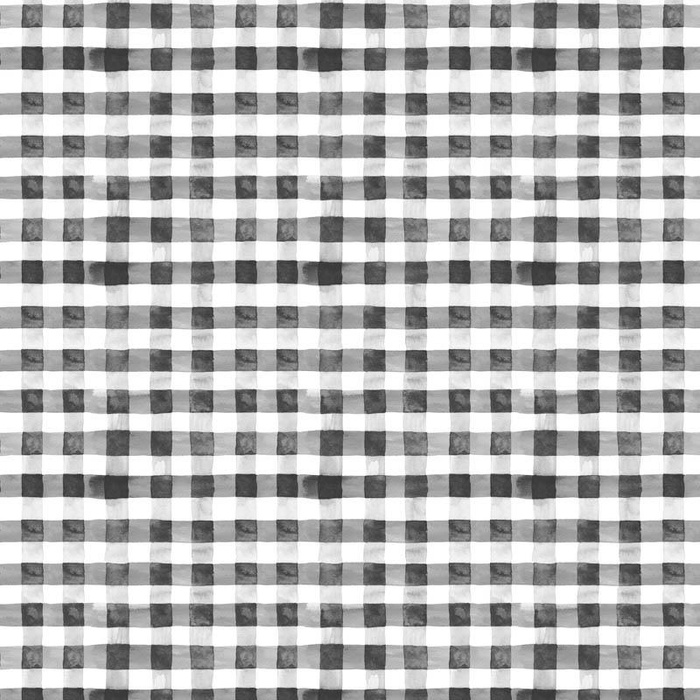 MINI VICHY GRID / graphite (CHECK AND ROSES) - lycra 300g