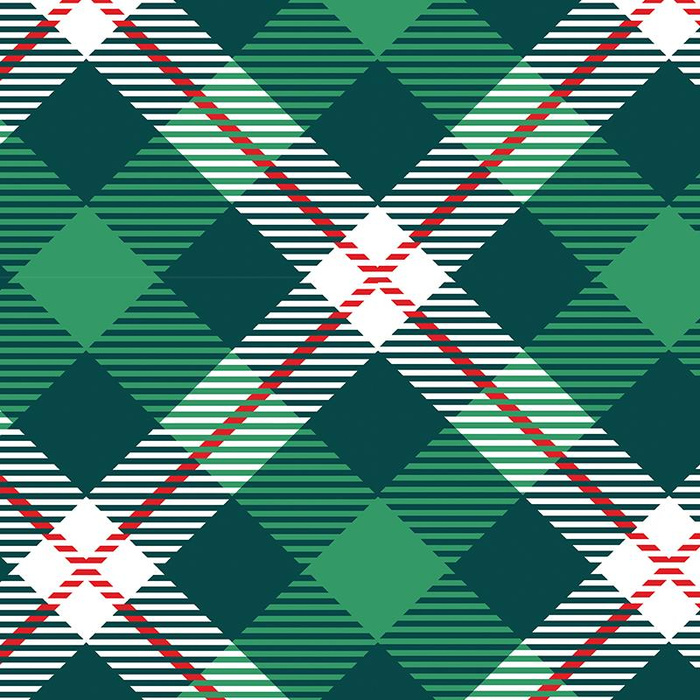 KARO GRÜN - ROT / grün