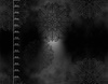 MISTY MANDALA- Single Jersey mit Elastan ITY