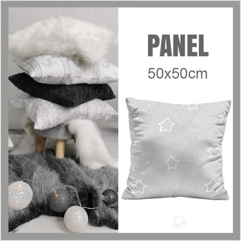 KISSENPANEL - WINTERMAUS BLANKA / Hintergrund