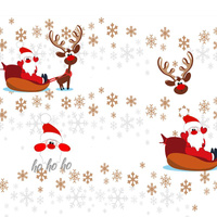 SANTA’S CARRIAGE / white - single jersey with elastane TE210