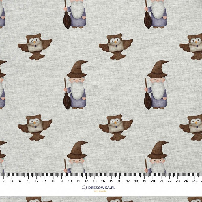 WIZARDS / owls (MAGIC SCHOOL) / melange light grey