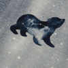 TIERE MIX (GALAKTISCHE TIERE) / grau - Sommersweat