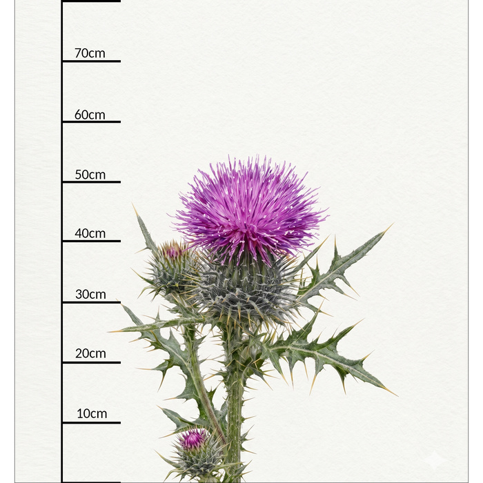 PASTEL WILDFLOWER - panel (75cm x 80cm) SINGLE JERSEY PANEL