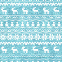 REINDEERS PAT. 2 / ACID WASH SEA BLUE - Cotton woven fabric