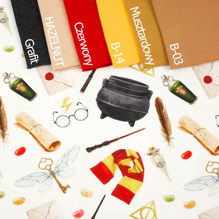 MAGISCHE KESSEL (ZAUBERSCHULE) - HOME DECOR PREMIUM Webware