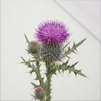 PASTEL WILDFLOWER - panel (75cm x 80cm) SINGLE JERSEY PANEL