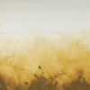 SPECKS (gold) - panel looped knit