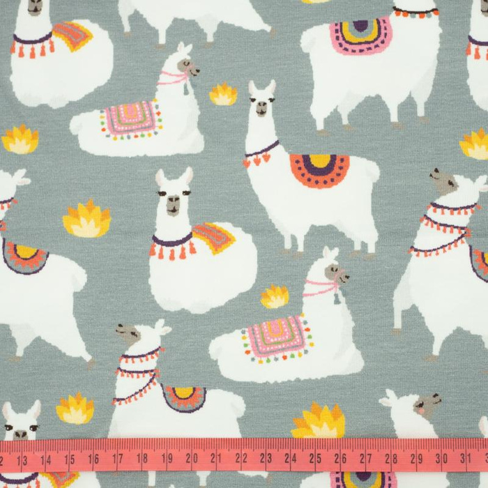 LAMA / grey - Viscose jersey WE210