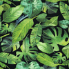 43cm TROPICAL LEAVES pat. 2 / black - single jersey 