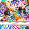 REGENBOGEN ZEBRAS - leichte Maschenware angeraut