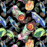 PEACOCK FEATHERS / black