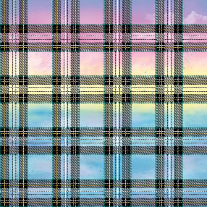 CHECK PAT. 12 / rainbow