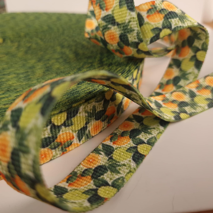Webbing Tape with Print 25mm - Tutti Frutti wz. 11