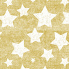 WHITE STARS / vinage look jeans (gold) - Waterproof woven fabric