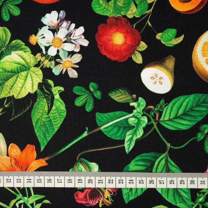 PARADIESFRÜCHTE ms. 2 (PARADIESGARTEN) 