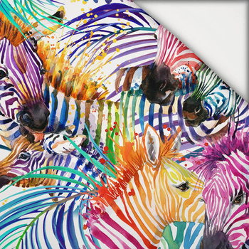 RAINBOW ZEBRAS - light brushed knitwear