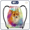 GYM BAG - FOX / rainbow EN - big
