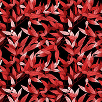 LEAVES pat. 7 (red) / black