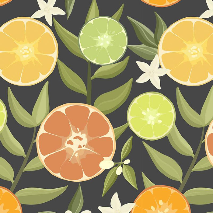 CITRUS no. 2 / graphite - Waterproof woven fabric