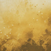 SPECKS (gold) - panel looped knit