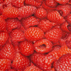 HIMBEEREN - Wasserabweisende Webware