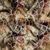 ANIMAL PATTERN WZ. 5 - Baumwoll Musselin