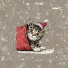 CHRISTMAS PETS WZ. 4 - panel (60cm x 50cm) SINGLE JERSEY 