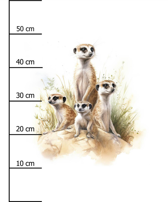WATERCOLOR MEERKAT - PANEL (60cm x 50cm) tkanina wodoodporna